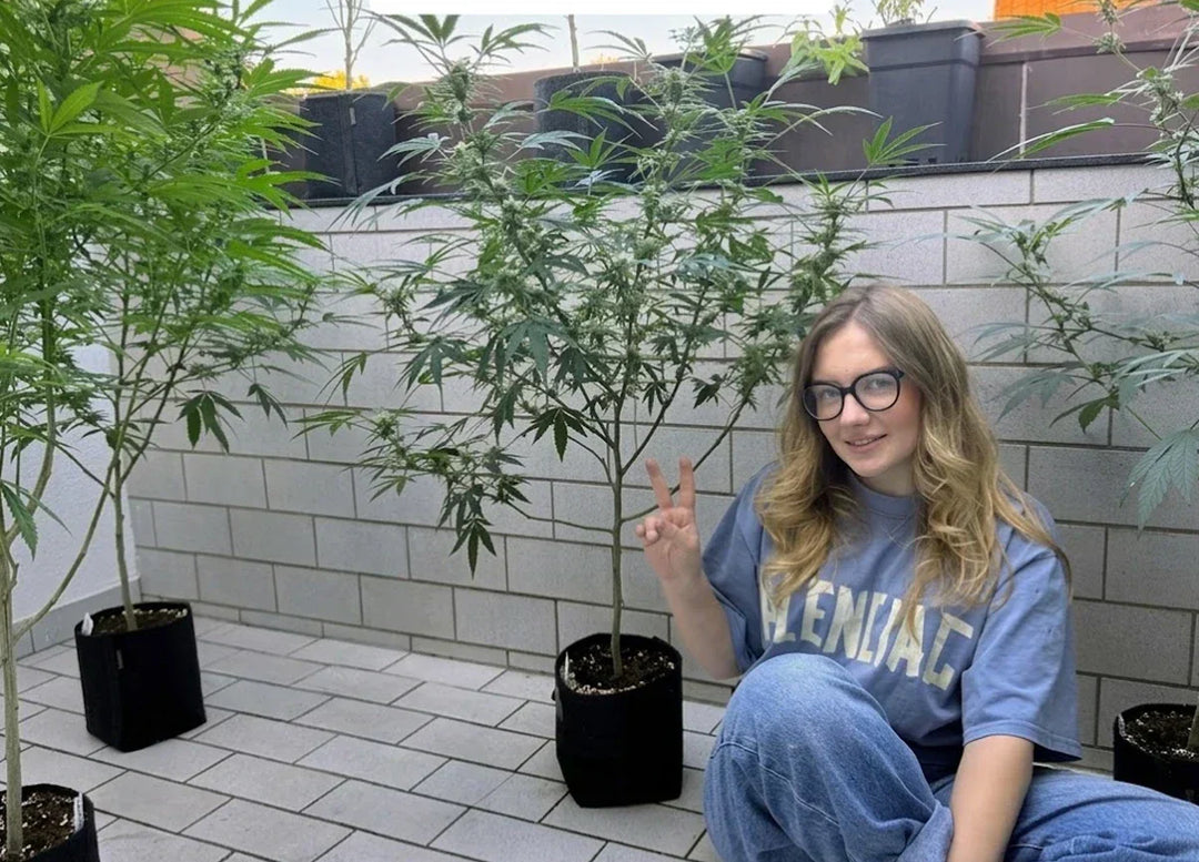 Cannabis Outdoor Grow: Tipps für deine Pflanzen