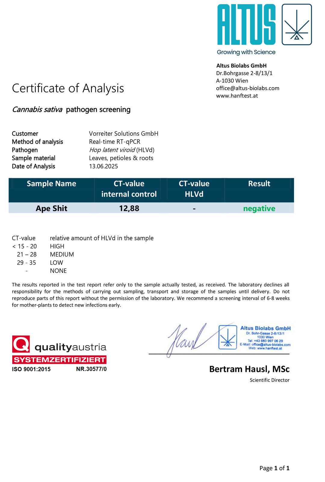 Ape Shit - Steckling (3rd Coast Genetics)