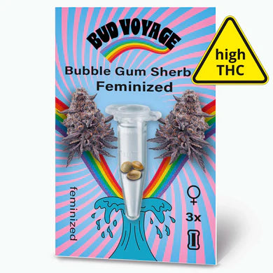 Bubble Gum Sherb - Feminized Seeds