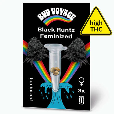 Black Runtz - Feminisierte Samen