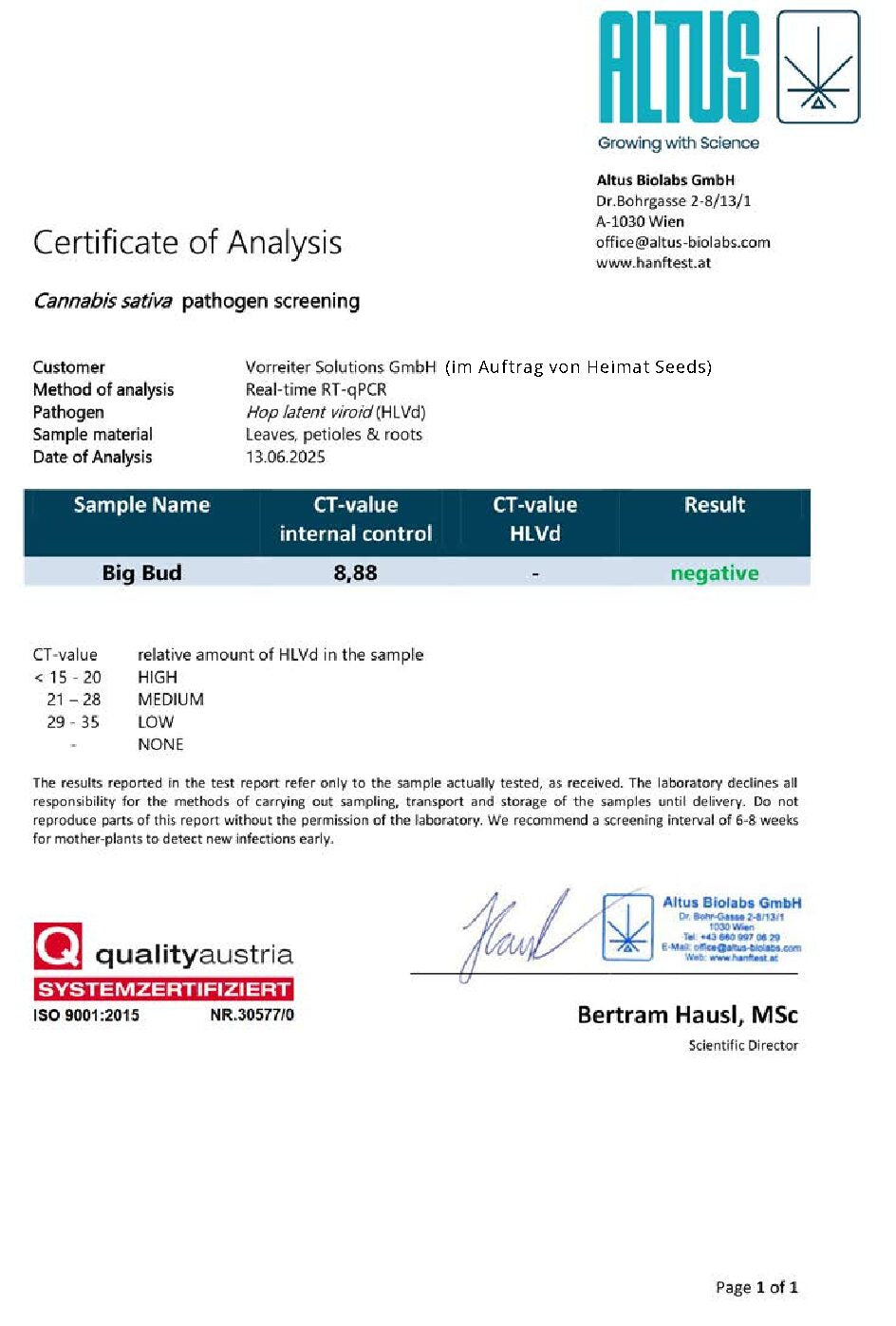 Big Bud - Steckling image 4