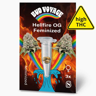 Hellfire OG - Feminisierte Samen