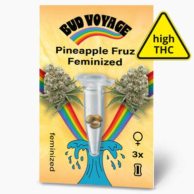 Pineapple Fruz - Feminisierte Samen