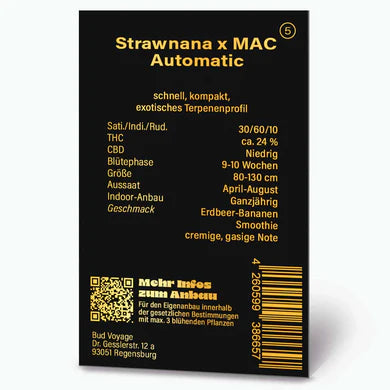 Premium Strawnana x M.A.C - Autoflower