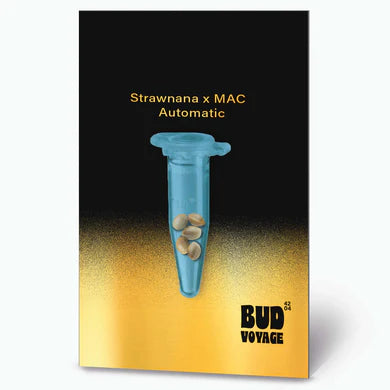 Premium Strawnana x M.A.C - Autoflower